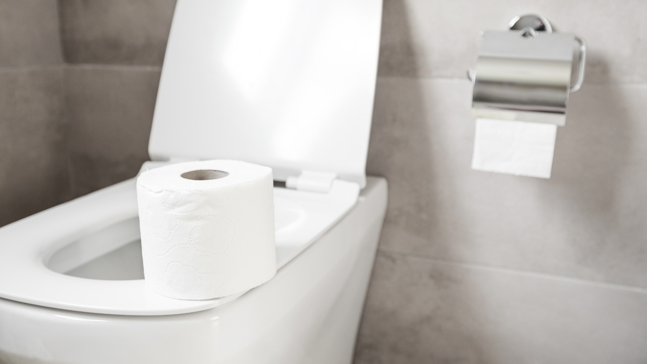 Flushing System